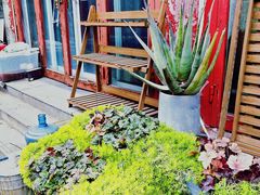 -华声天桥民俗文化园