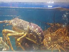 -渔乐圈海鲜餐厅(群力金江路店)