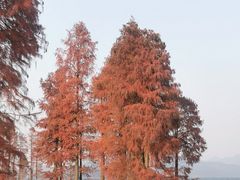 -四明湖