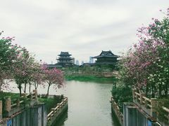 -海珠湖公园