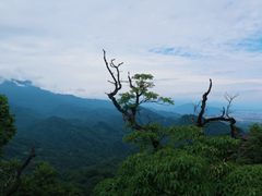 -青城山