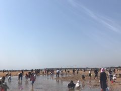 -日照海滨国家森林公园