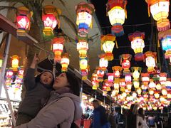 -锦江乐园舞狸花花游园会(夜场专享)