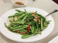 蒜头炒含羞草-建兴酒家(素里翁分店)