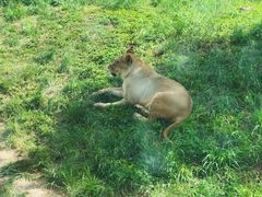 -西安秦岭野生动物园