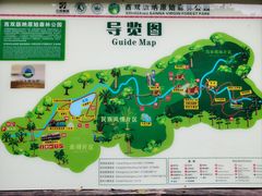 -西双版纳原始森林公园