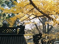 -红螺寺