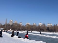 -群力丁香公园
