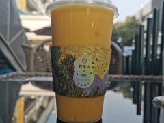 -野萃山·潮汕厚果汁(十亩地店)