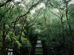 -忠山公园