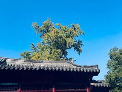 -常熟方塔园