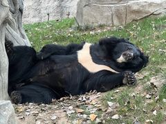 -北京野生动物园