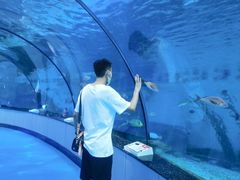 -泉城欧乐堡海洋极地世界