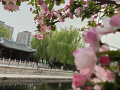 -元大都城垣遗址公园