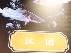 -蛙一刀·麻椒鱼火锅(金仙桥店)