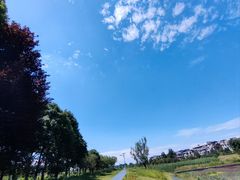 -两河城市森林公园