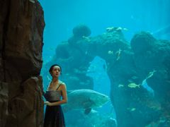 -成都浩海立方海洋公园