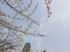-西北湖绿化广场
