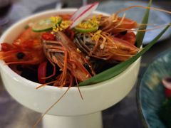 -Hi City·城市之巅