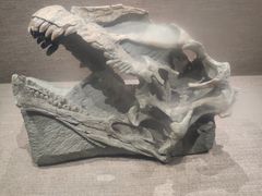 -自贡恐龙博物馆