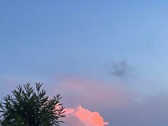 -东白山