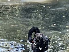 -镇江市南山风景名胜区竹林景区