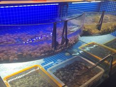 -星伦多自助料理·涮烤一体(虹悦城店)