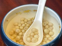 -松鹤楼(山塘街店)