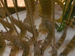 -揽季锅物会.福建黄鱼.海鲜姿造(五四路店)