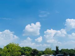 -同里国家湿地公园