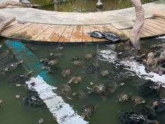 -广州长隆飞鸟乐园