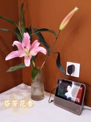 -Lily纤美·科技减脂中心