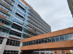 -香港大学