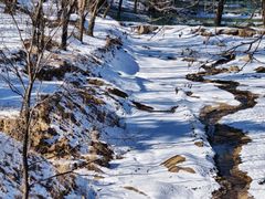 -鲁山国家森林公园