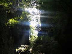 -牛背梁国家森林公园