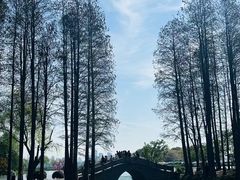 -无锡蠡湖国家湿地公园-蠡园