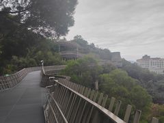 -福道
