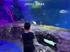 -沈阳海洋探索中心