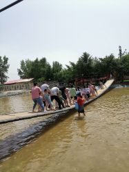 -上美四季动物农场