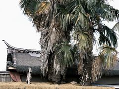 -田德能咖啡博物馆