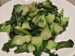 -佬肥猫(七宝宝龙店)