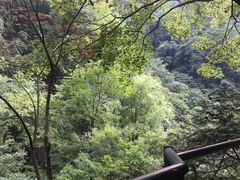 -藏龙百瀑风景区