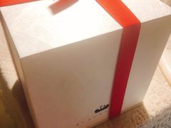 -BLACKSWAN黑天鹅(环球店)