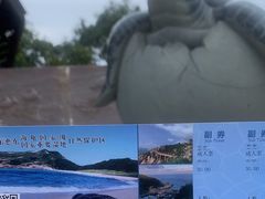 -广东惠东海龟国家级自然保护区