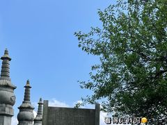 -长沙黑麋峰国家森林公园