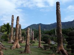 -深圳仙湖植物园