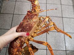 -悉尼鱼市场