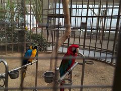 -南宫五洲植物乐园