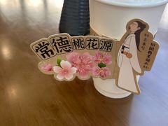 -常德桃花源景区
