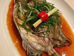 -金苑海鲜酒家(来魅力店)